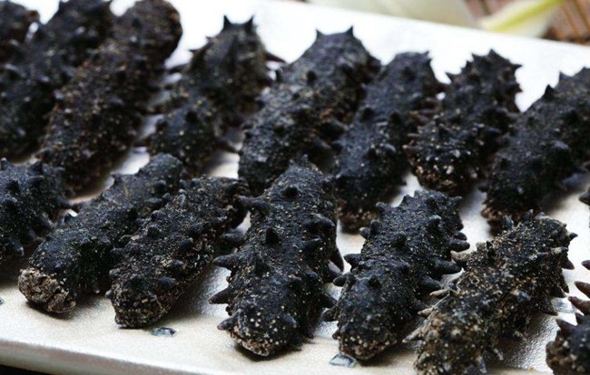 海參如何進(jìn)行烘干？